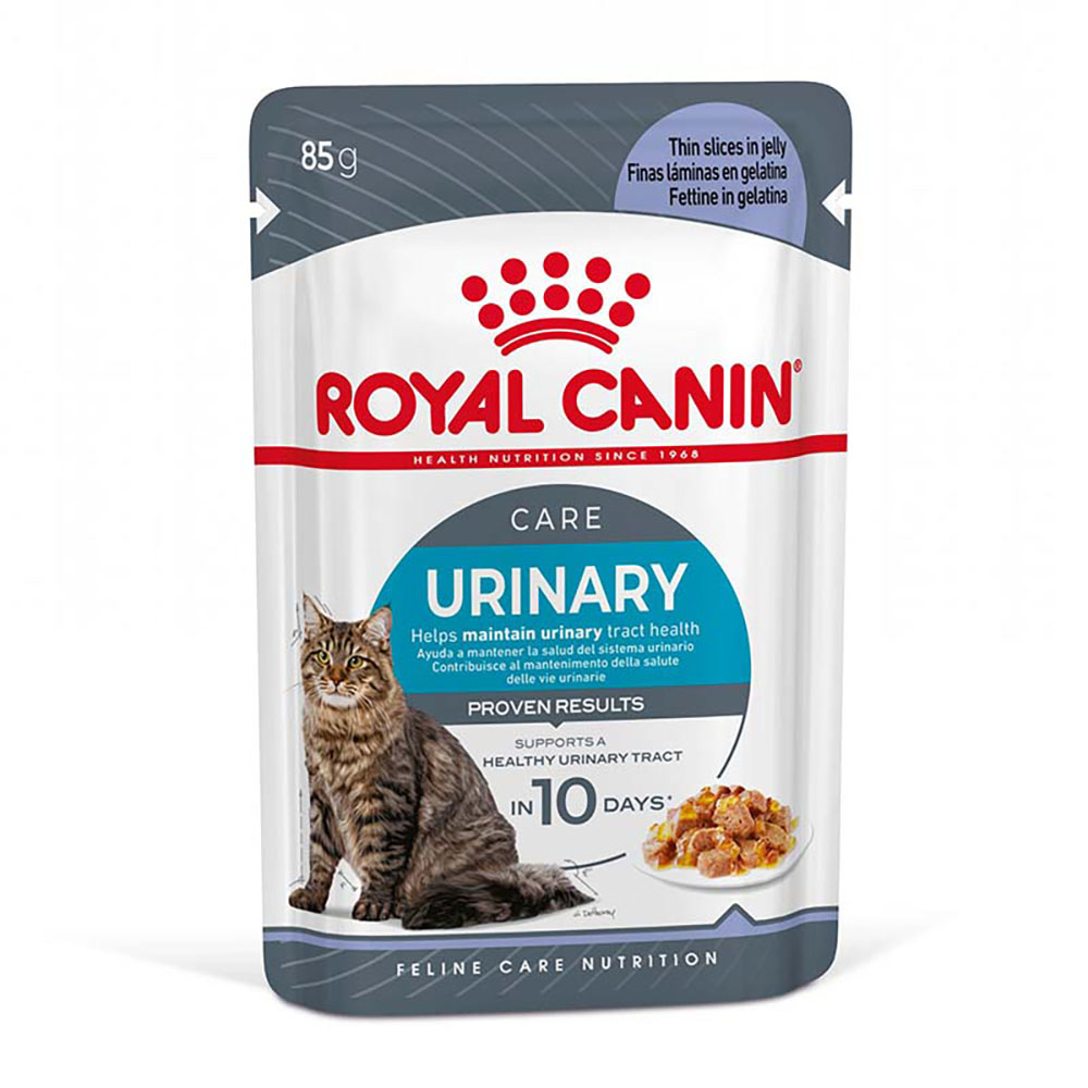 Royal Canin FCN Urinary Care w galarecie - 12 x 85 g