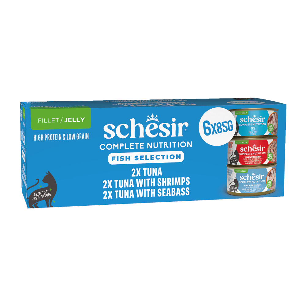 Korzystny pakiet Schesir Complete Nutrition, filet w galarecie, 24 x 85 g - Pakiet mieszany (3 smaki)