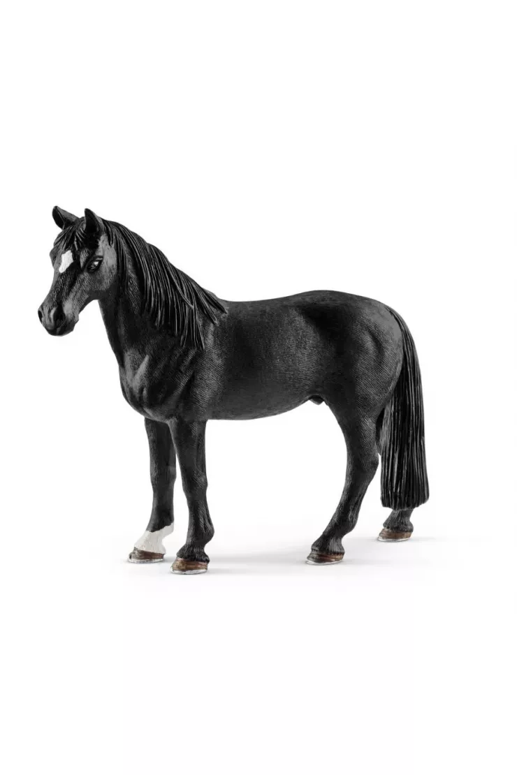 Wałach rasy Tennessee Walker