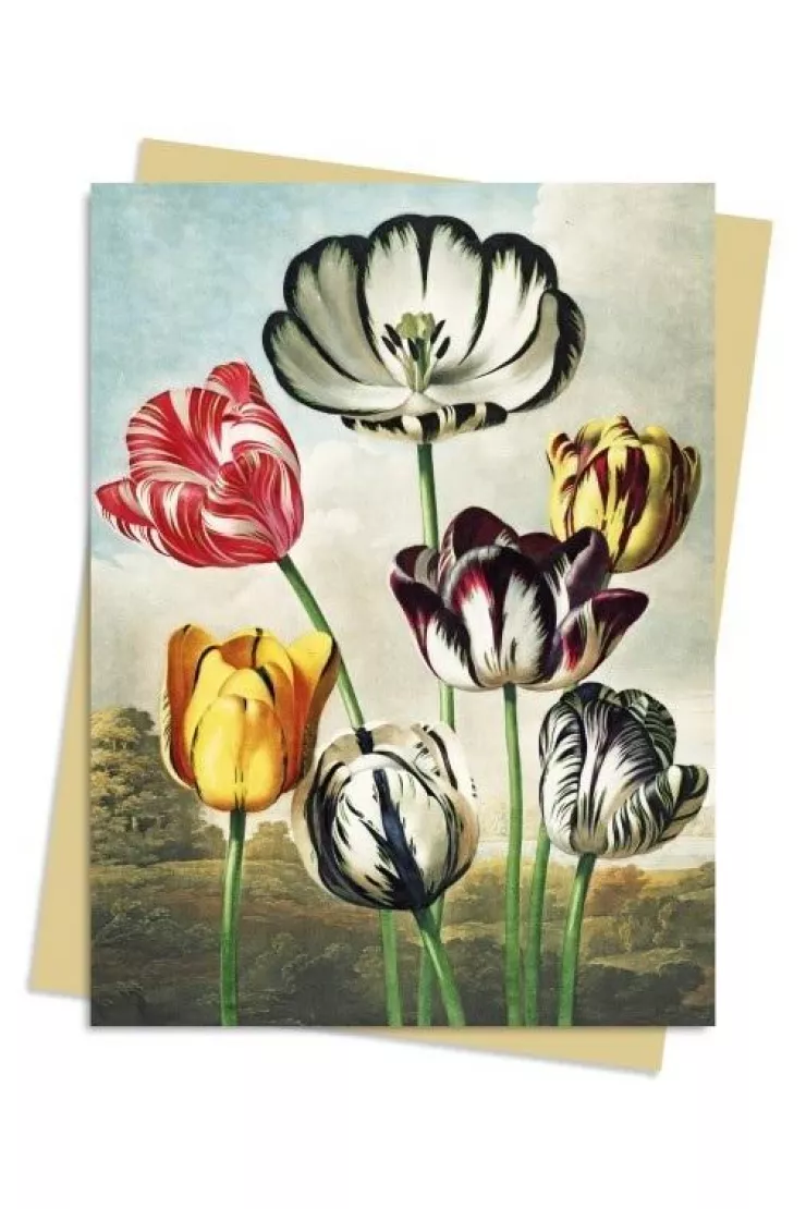 Karnet B6 Tulipany Temple of Flora