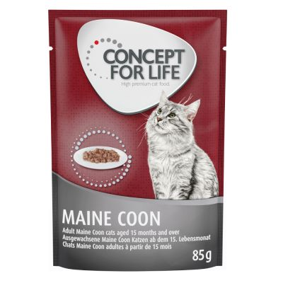 Concept for Life Maine Coon Adult, ragout - 48 x 85 g