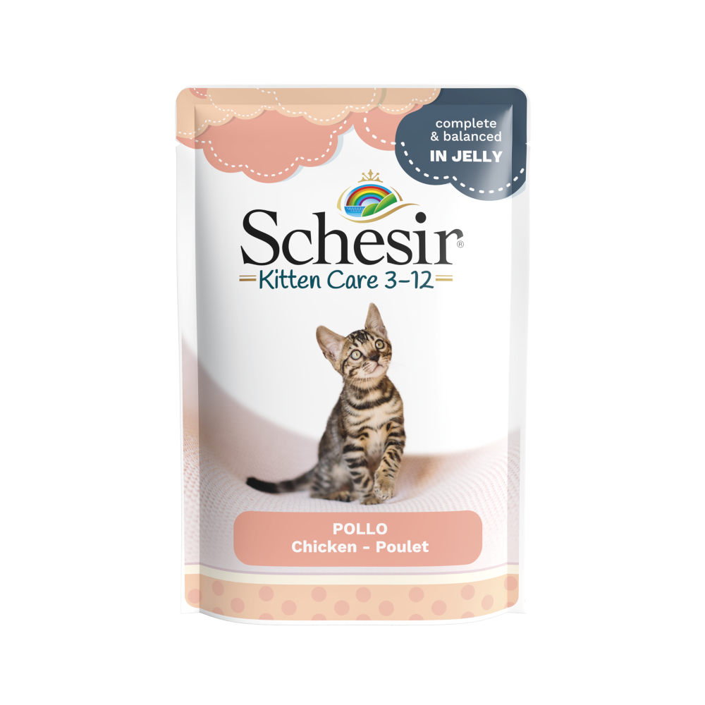 Korzystny pakiet Schesir w galarecie, saszetki, 12 x 85 g - Kitten, filet z kurczaka
