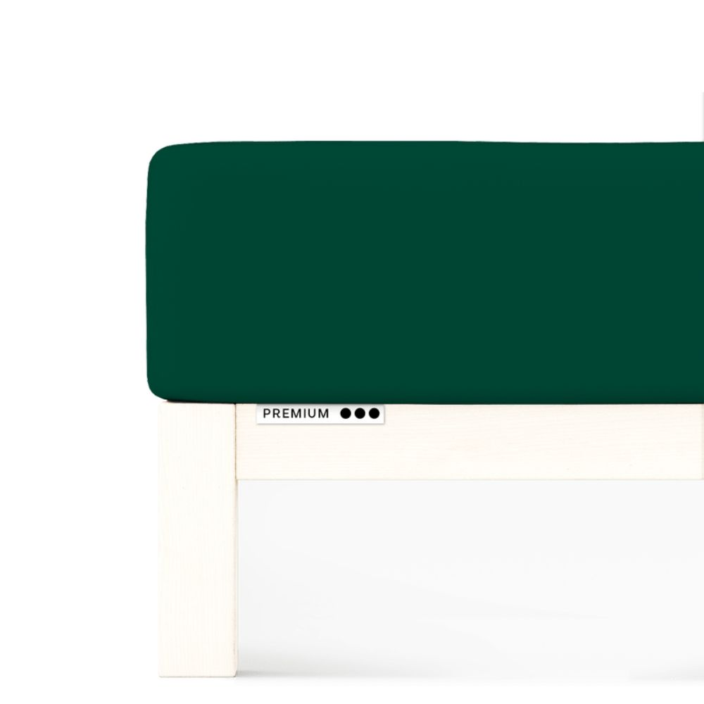 Prześcieradło Premium Schlafgut 140 x 200cm-160 x 220cm Green Deep 690 bawełna, antyalergiczny