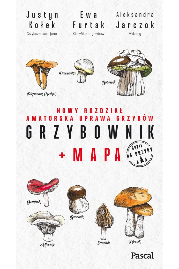 Grzybownik + mapa