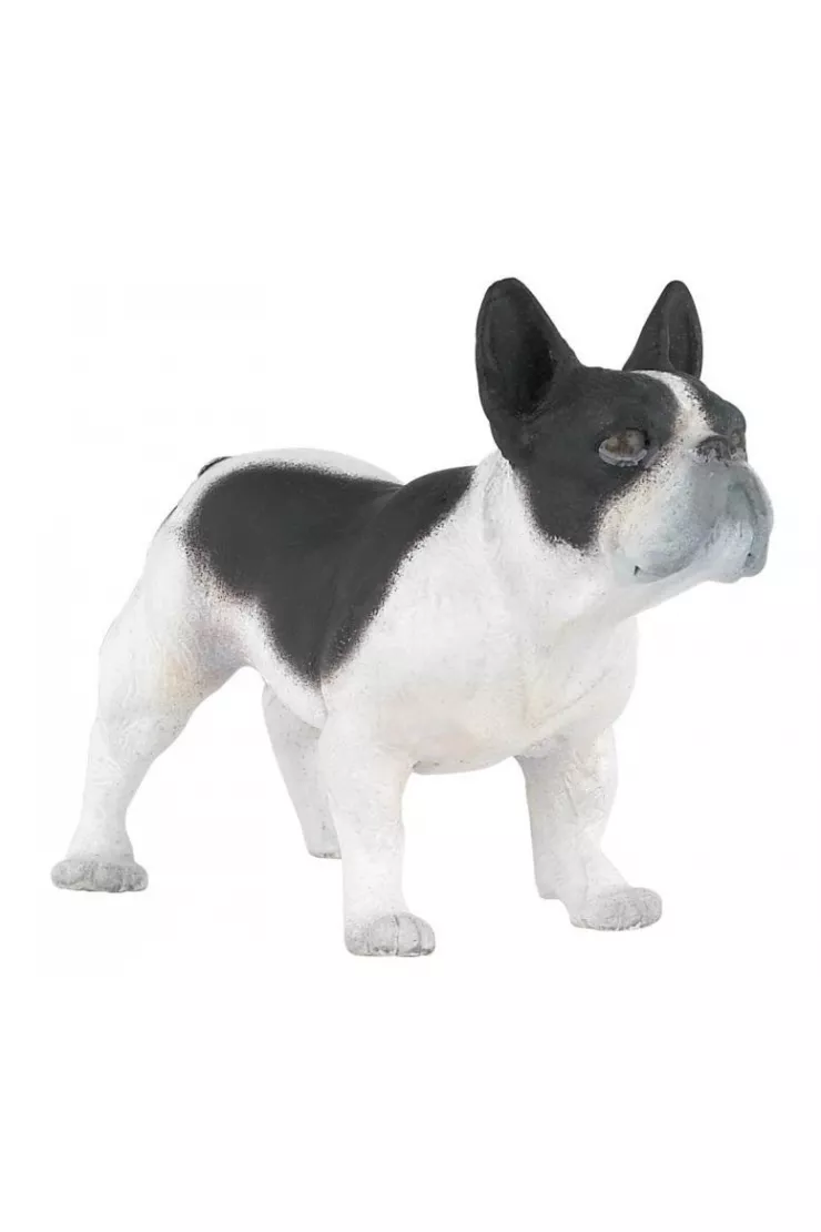Buldog francuski