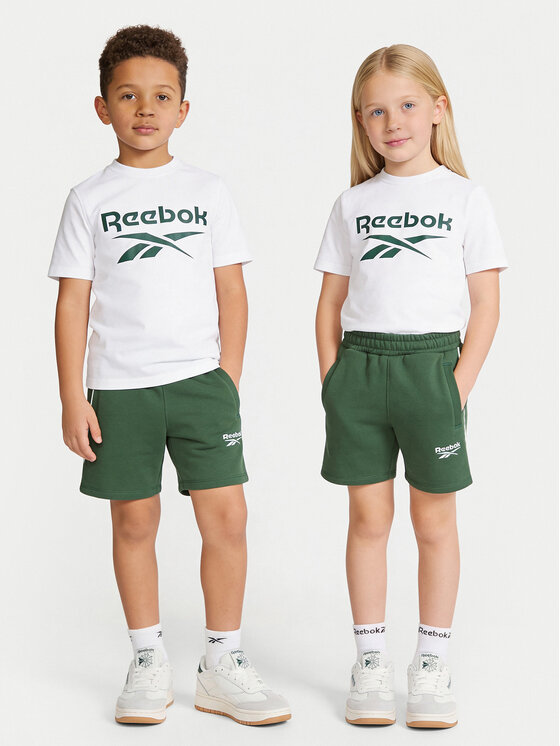 Reebok Komplet t-shirt i spodenki Blake RK95033CCB Kolorowy Regular Fit
