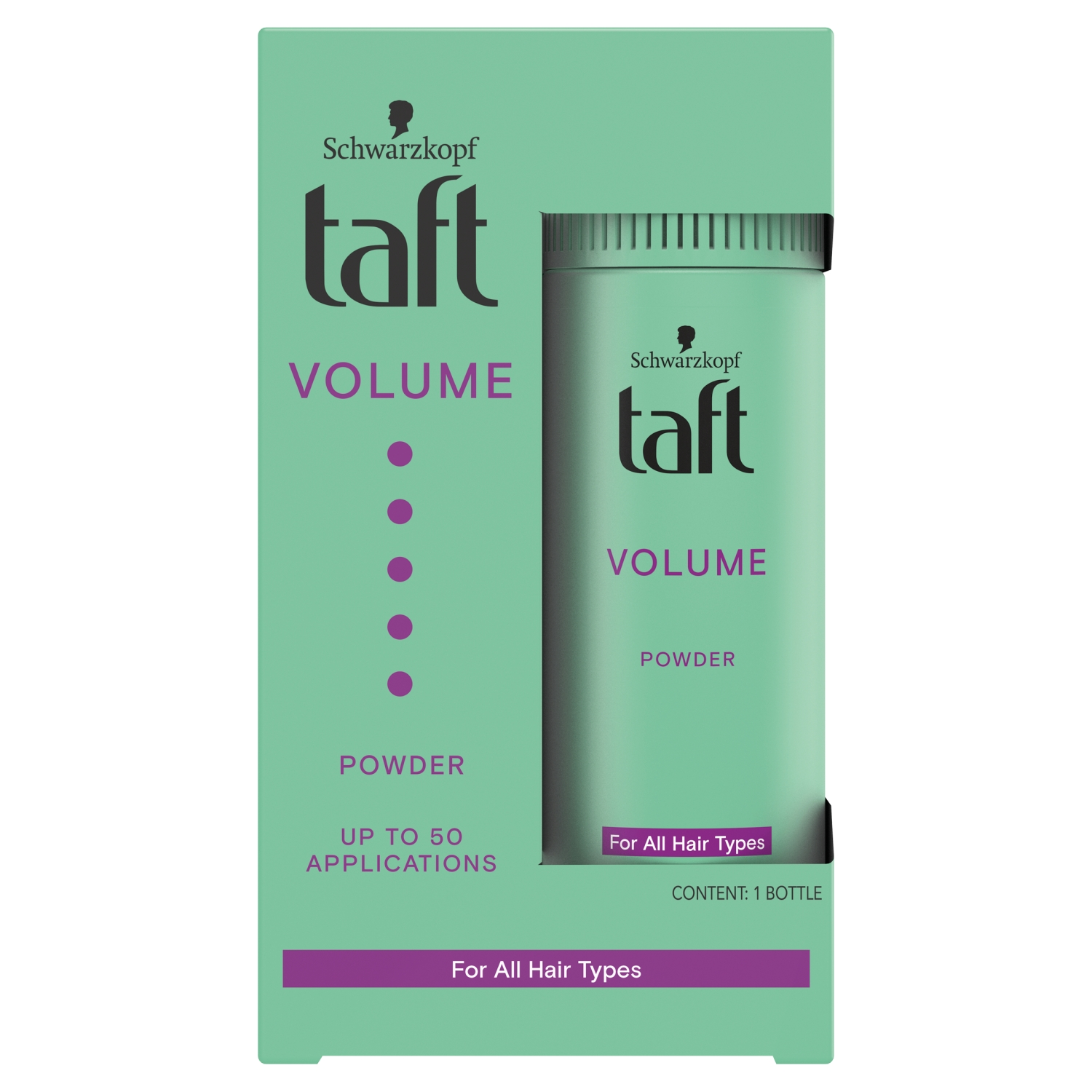 Taft puder do włosów Volume 10 g