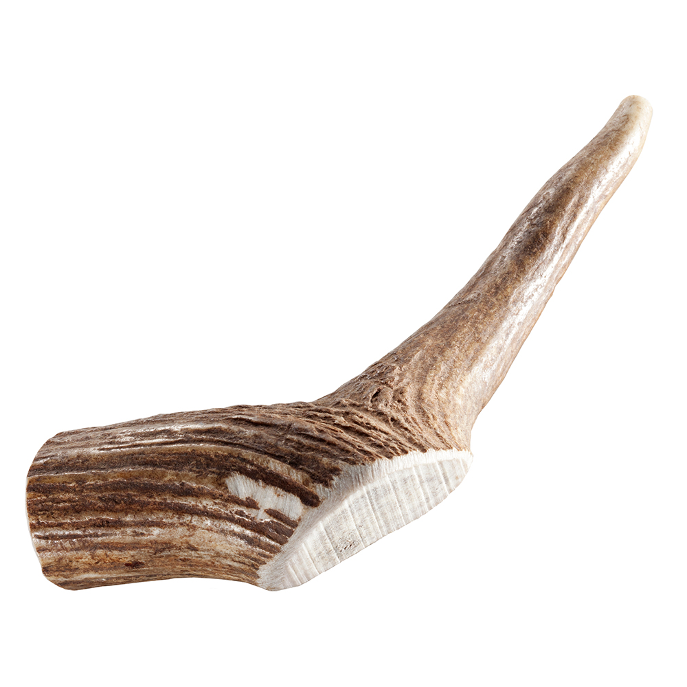 Chewies poroże jelenia szlachetnego - Rozmiar M  (ok. 80 - 120 g)