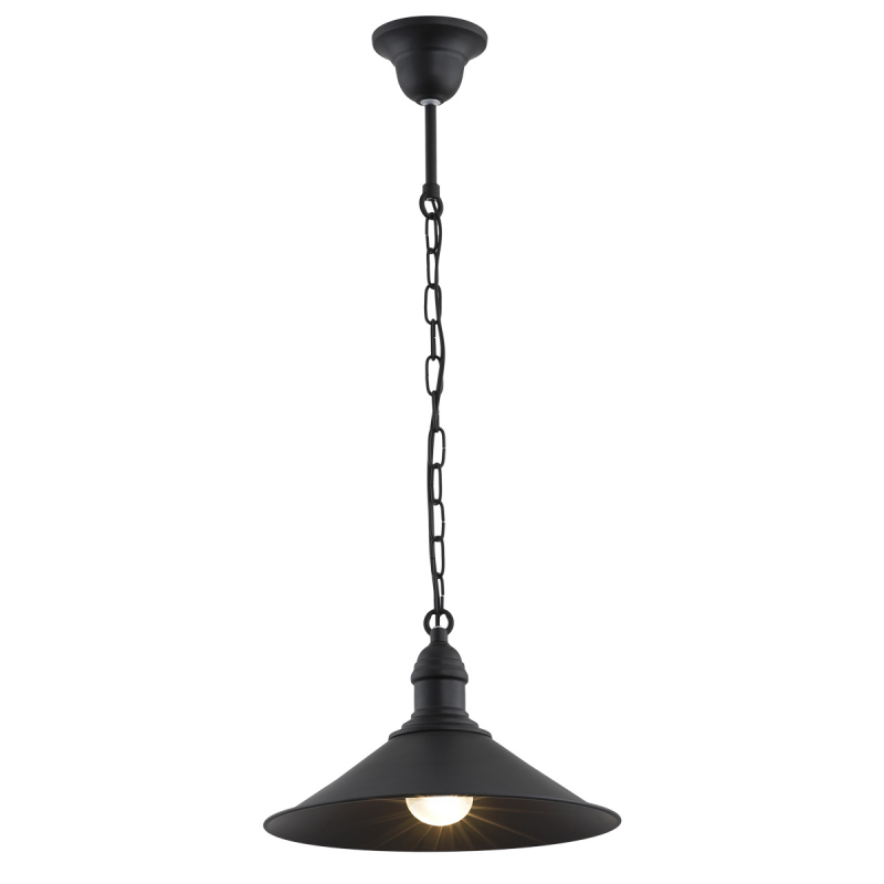 Lampa wisząca ERBA  631