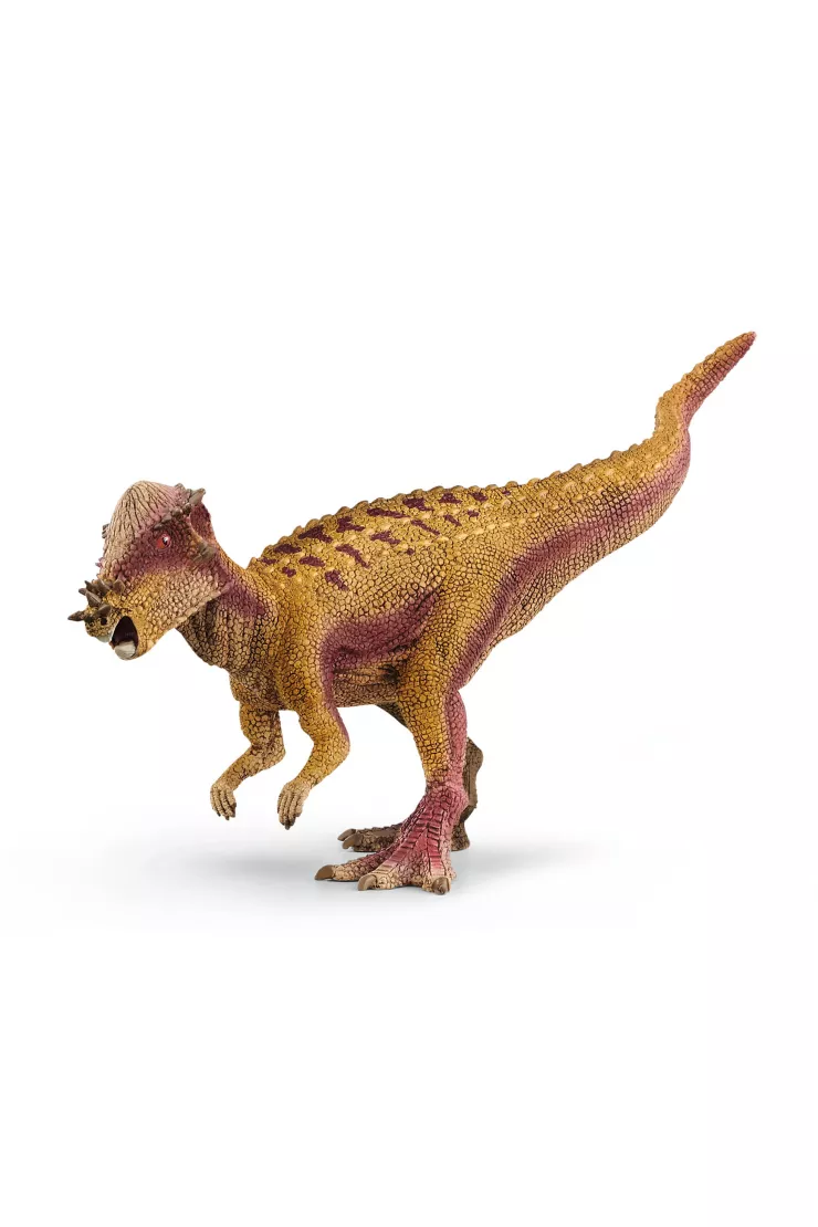 Pachycephalosaurus