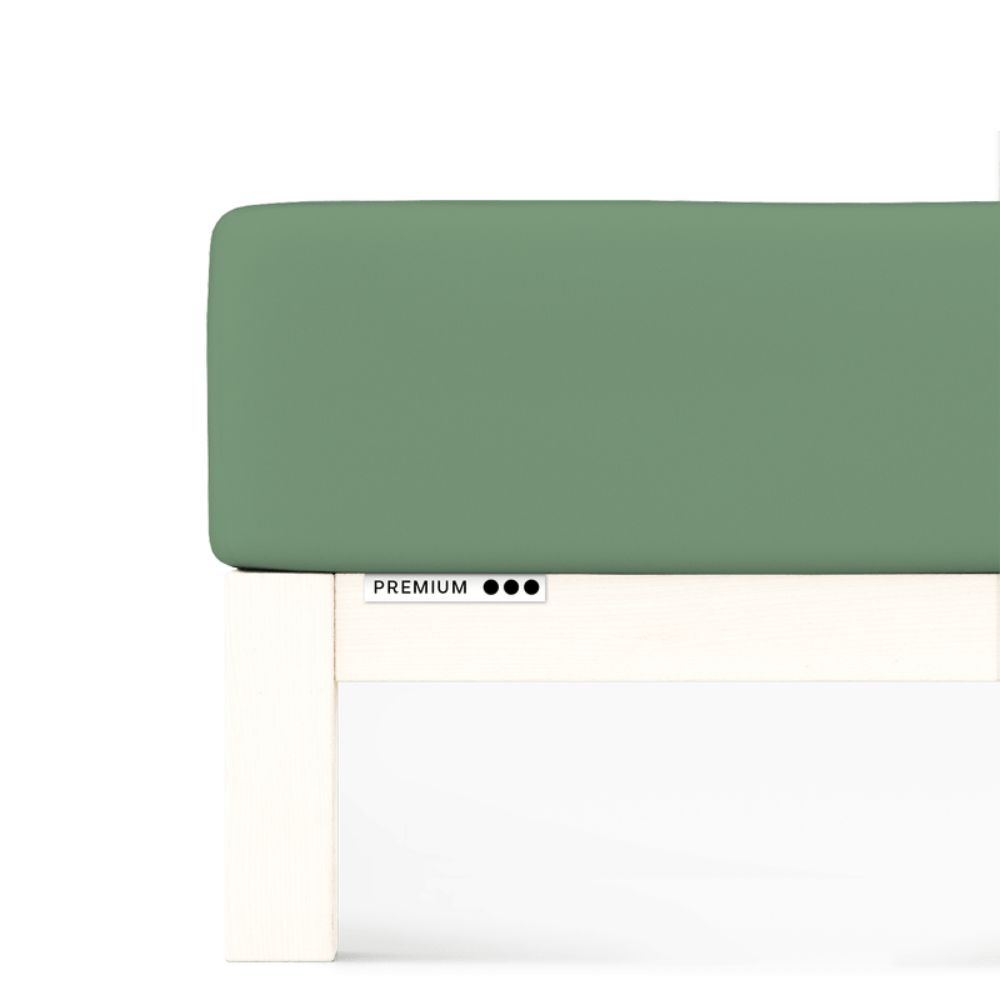 Prześcieradło Premium Schlafgut 120 x 200cm-130 x 220 cm Green Mid 665 bawełna, antyalergiczny