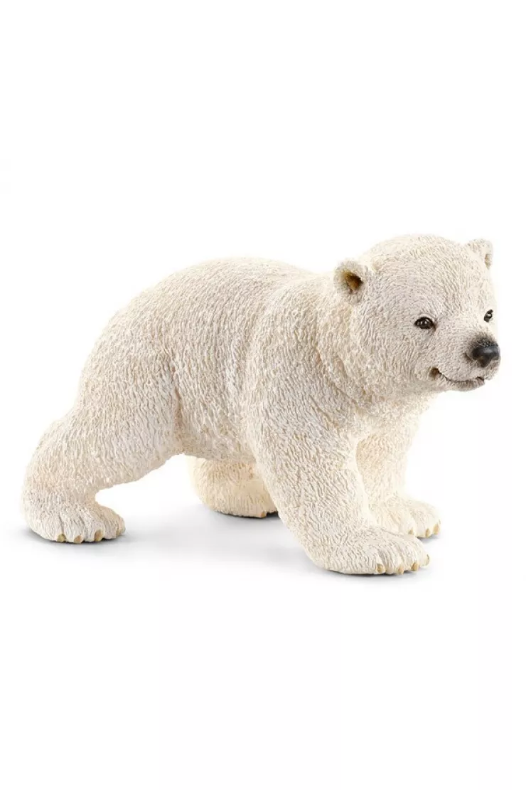 Młody miś polarny