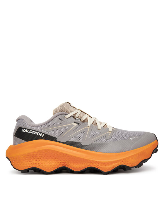 Salomon Buty do biegania Ultra Flow 2 Gore-Tex L47884200 Szary