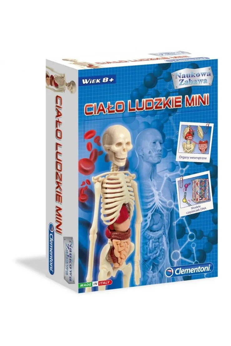 Ciało ludzkie mini