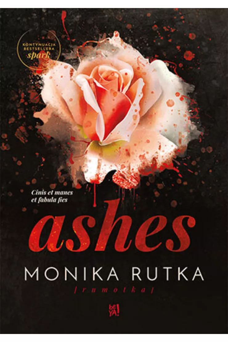 Ashes. The Chain. Tom 3