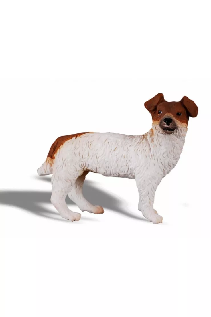 Pies Jack Russell Terier