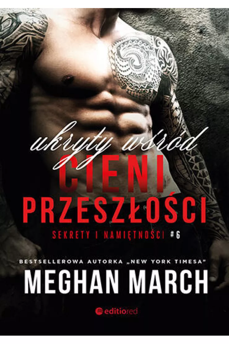 Ukryty wśród cieni przeszłości. Sekrety i namiętności. Tom 6
