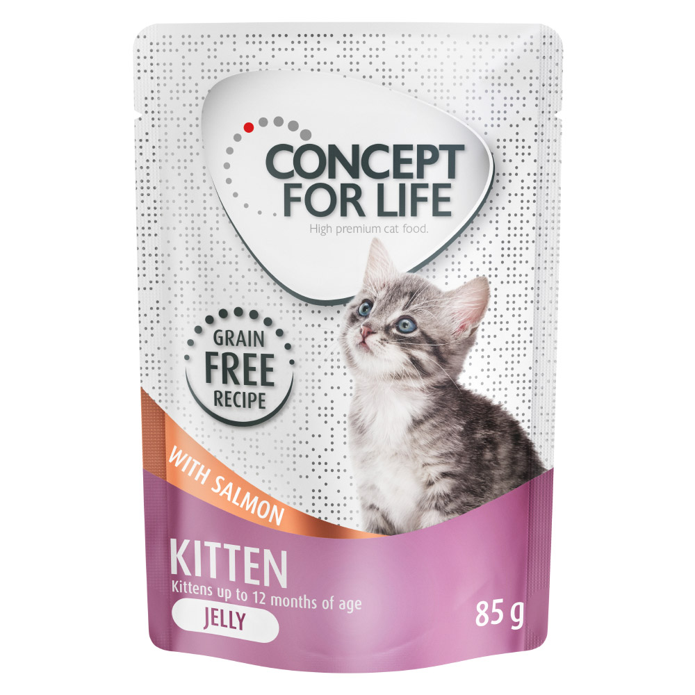 Korzystny pakiet Concept for Life, 48 x 85 g - Kitten w galarecie, łosoś - bez zbóż