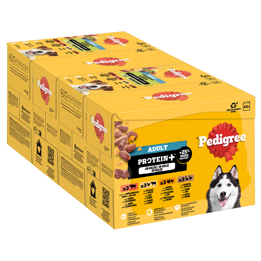 Pedigree Adult Protein Plus w saszetkach, w galarecie - 12 x 85 g (4 smaki)