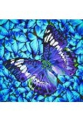 Haft diamentowy - Adults Flutter By Mauve