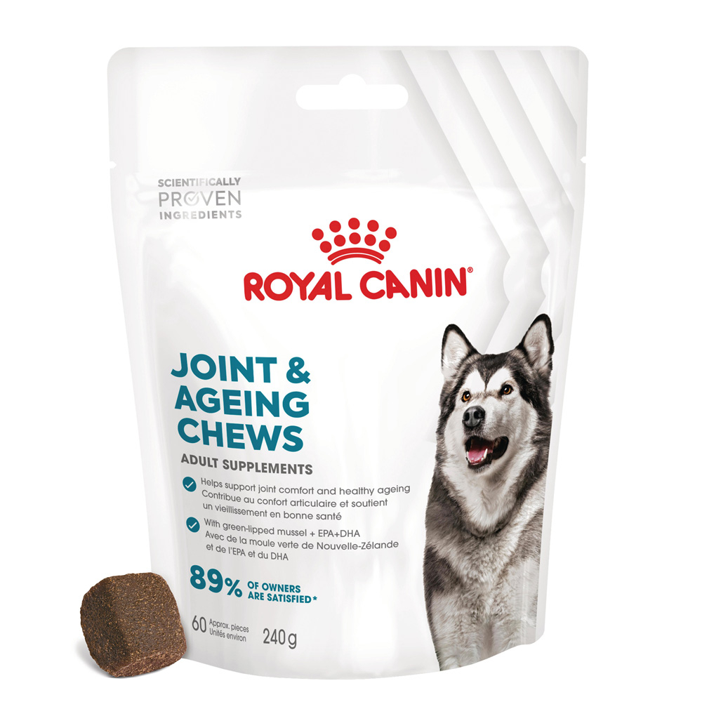 Royal Canin Joint & Ageing Adult Supplement Chews - 240 g ( 60 sztuk)