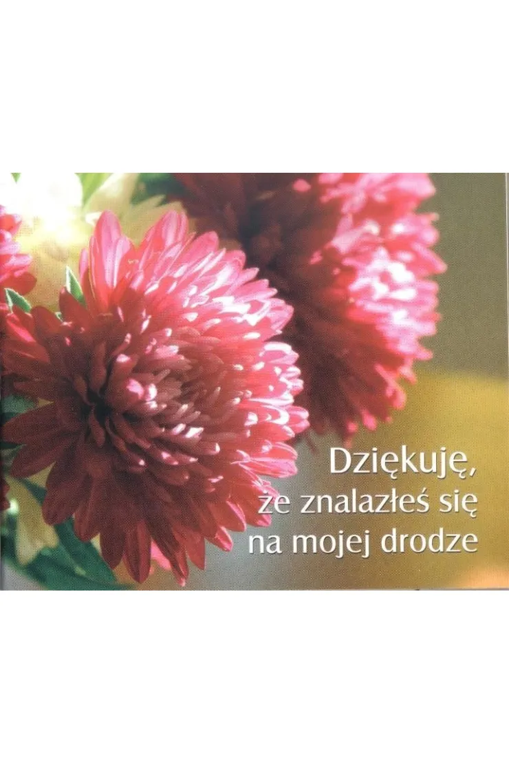 Dziękuję, że znalazłeś się na... Perełka 182 miniaturka