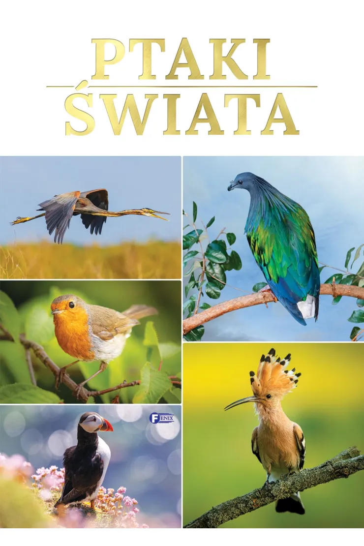 Ptaki świata