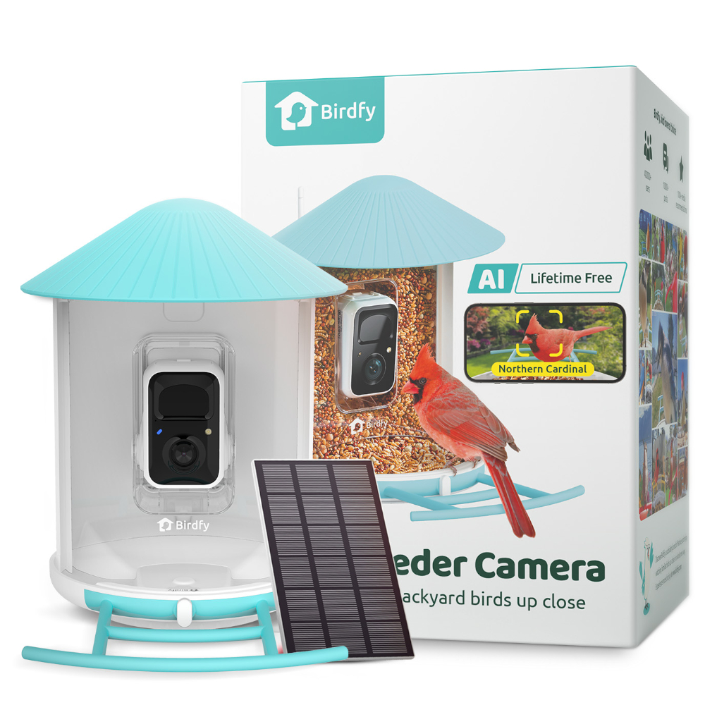 BIRDFY inteligentny karmnik z panelem solarnym - Dł. x szer. x wys.: ok. 36 x 28 x 19 cm
