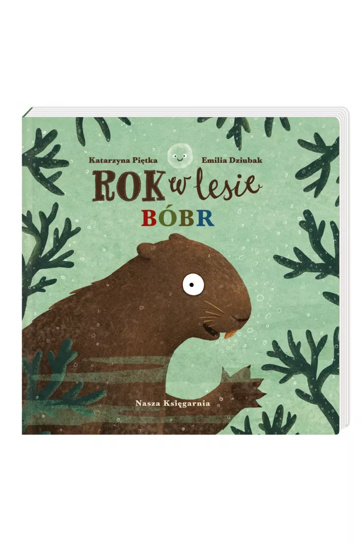 Rok w lesie. Bóbr