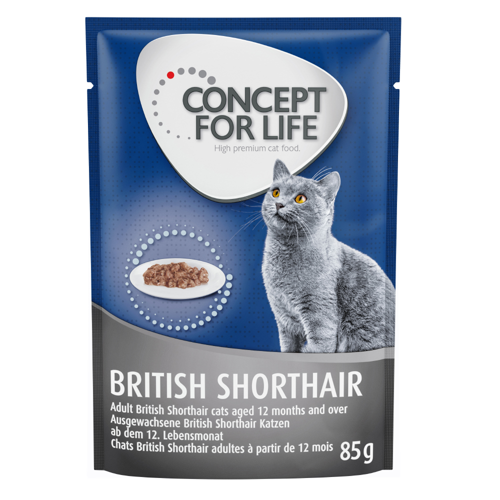 Concept for Life British Shorthair Adult, ragout - 12 x 85 g