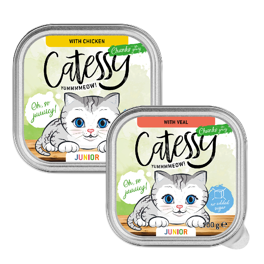 Catessy Junior kawałeczki w sosie, pakiet mieszany 2 smaki - 16 x 100 g