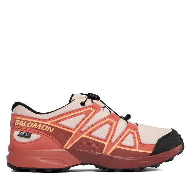 Buty do biegania Salomon