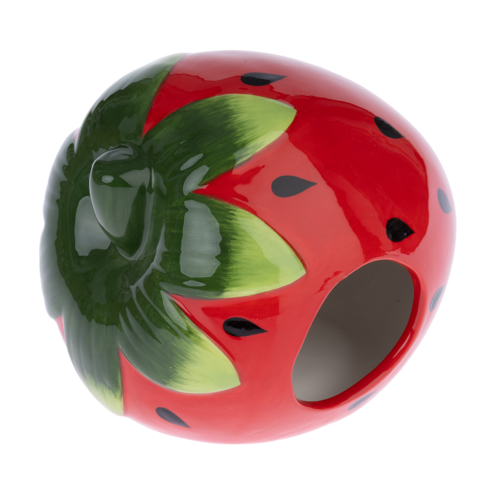 TIAKI Ceramiczny domek dla chomików i myszy, truskawka - Dł. x szer. x wys.: 15 x 15 x 10 cm miniaturka