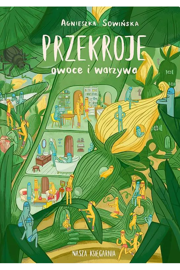 Przekroje: owoce i warzywa