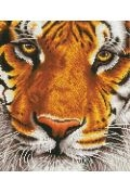 Haft diamentowy - Adults Bengal Magic