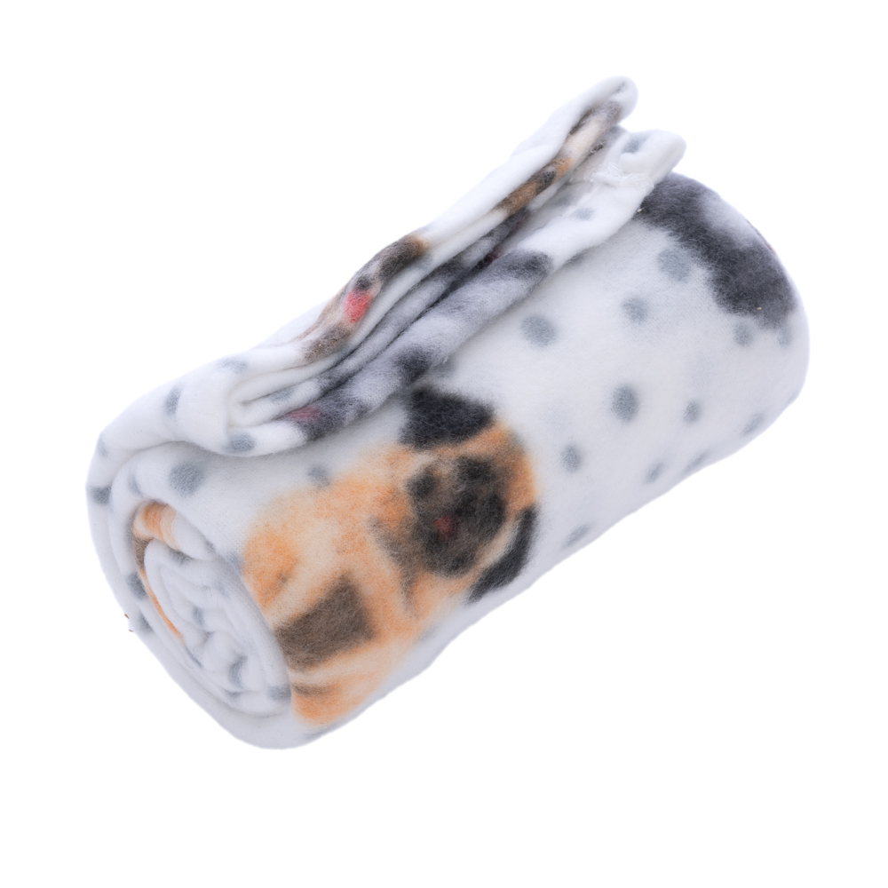 zooplus Basics przytulny koc Fleece Dogs & Dots - Dł. x szer.: 100 x 70 cm miniaturka