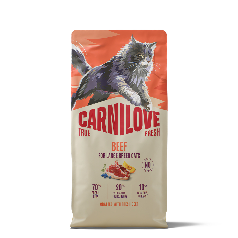 Carnilove True Fresh Large Breed Adult Cat, wołowina - 2 x 6 kg
