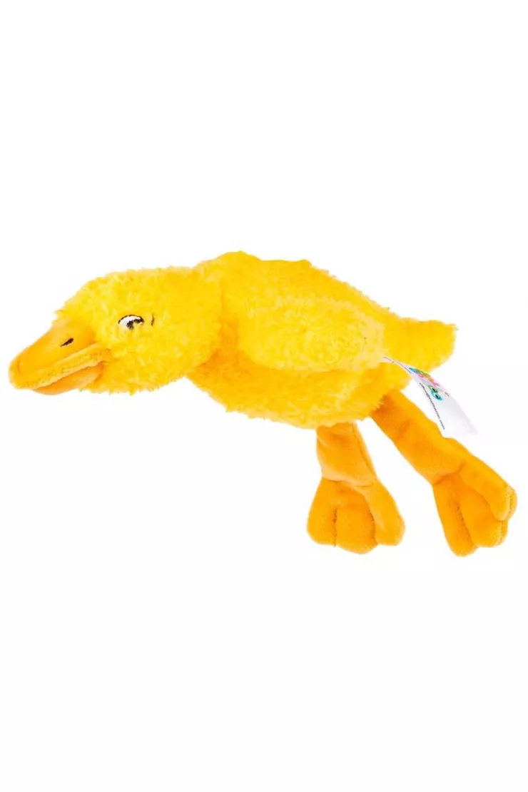 Sensoryczna Gęś żółta
