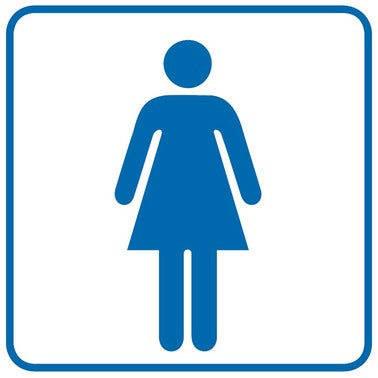 Znak informacyjny WC DAMSKIE miniaturka