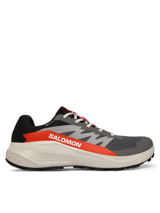 Salomon Buty do biegania Alphaglide Gore-Tex L47975300 Szary