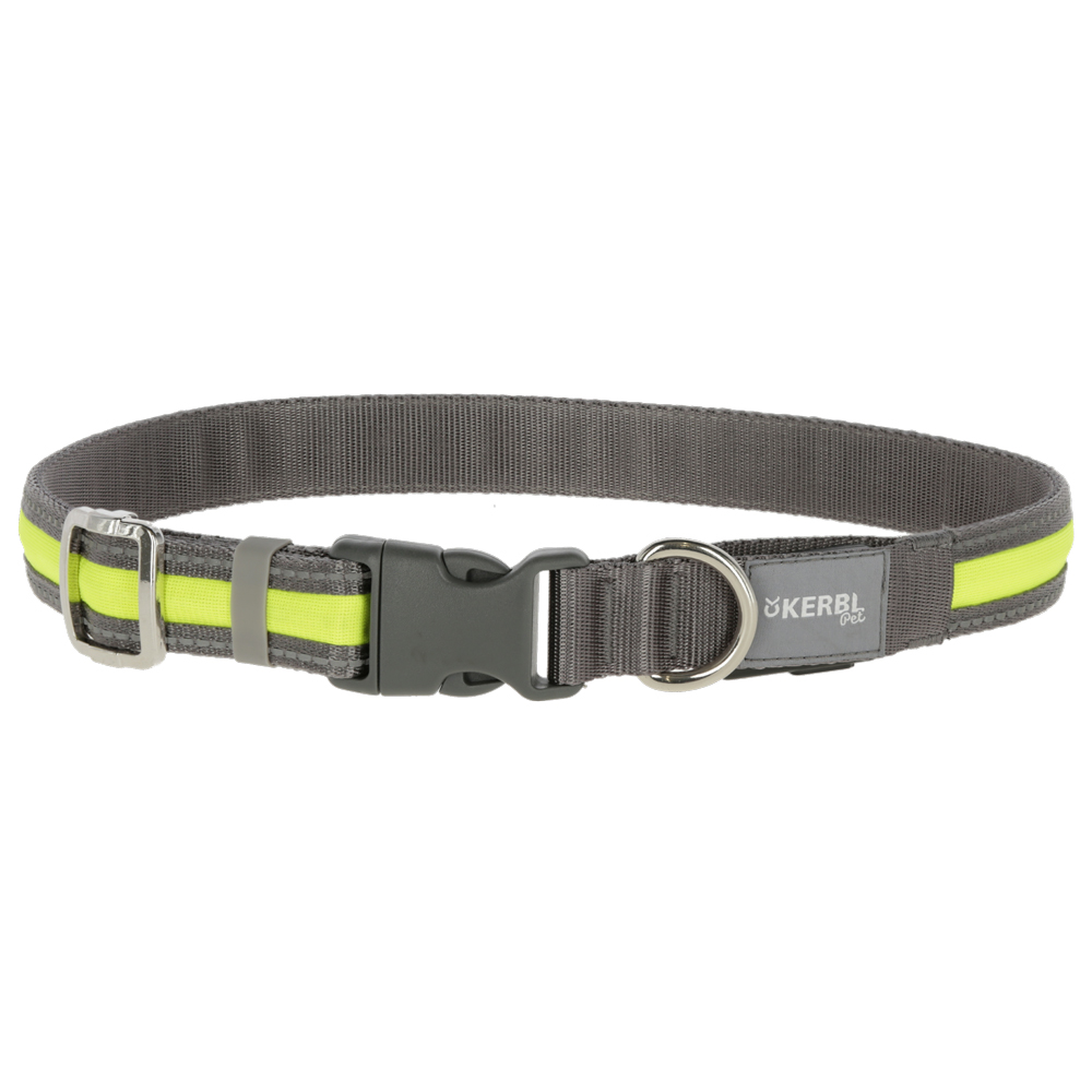 Kerbl Pet Light & Reflex podświetlana smycz dla psa - 120 cm dł., 25 mm szer.